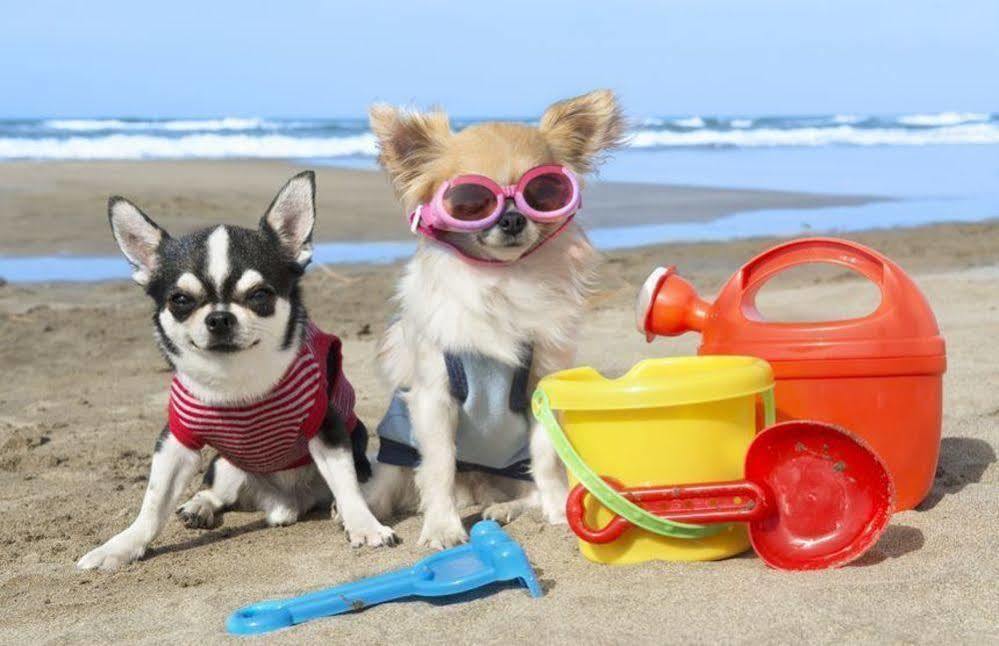 Enjoy Apart Centro Y Playa Victoria มาลากา ภายนอก รูปภาพ